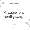 A routine for a healthy scalp